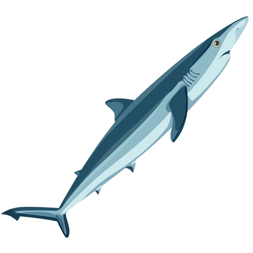 Under the Sea Theme Blue Shark Transparent Sticker